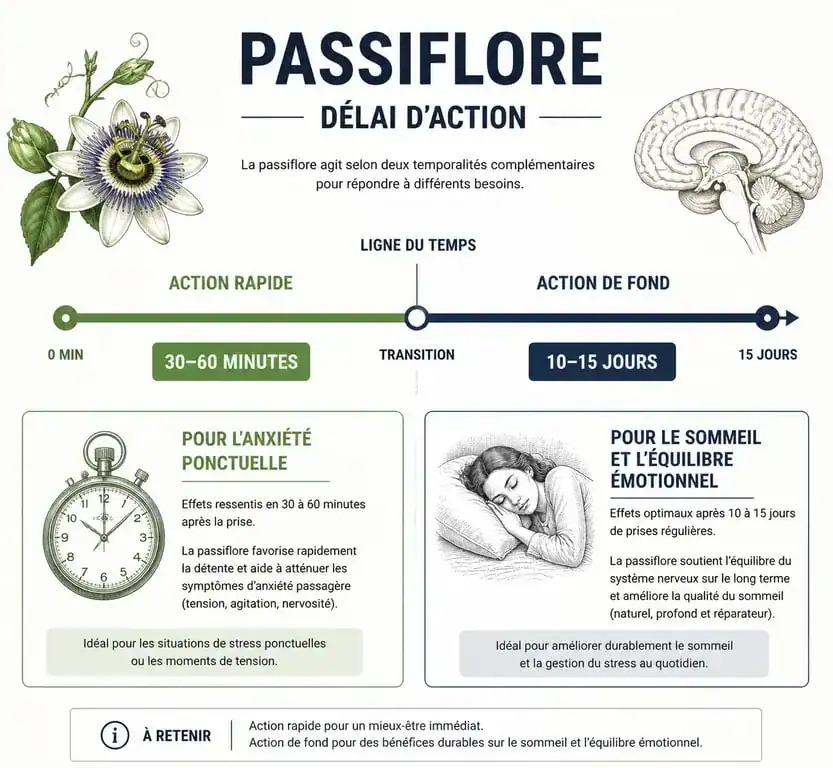 Infographie délai d'action passiflore effet au bout de combien de temps