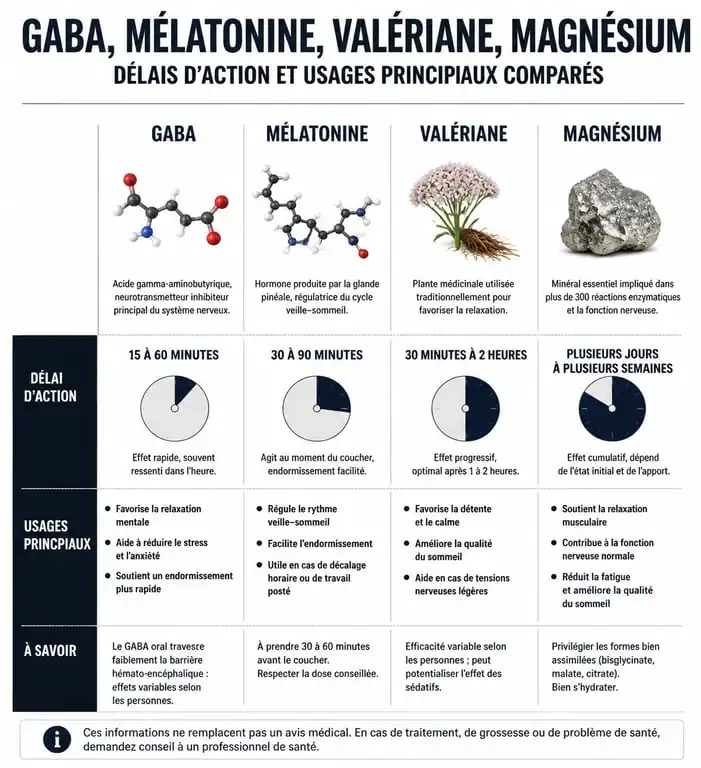 Infographie comparative des délais d'action du GABA, mélatonine, valériane et magnésium pour le sommeil et le stress
