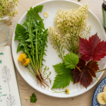 anti retention d eau puissant plateau plantes aliments