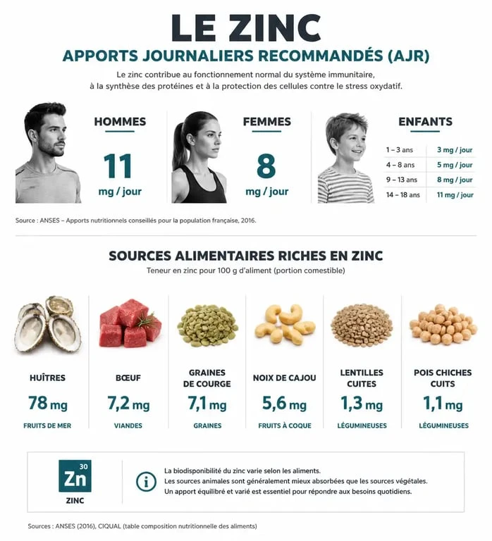 Infographie sur les apports journaliers recommandés en zinc et sources alimentaires pour la santé